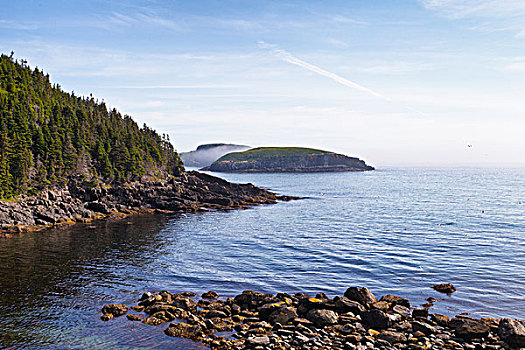 船,岛屿,生态,自然保护区,纽芬兰,加拿大
