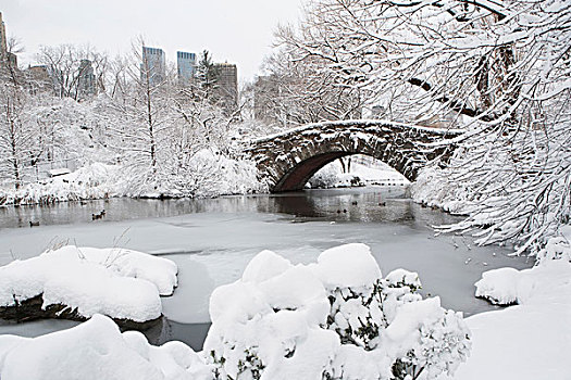 桥,雪,城市公园