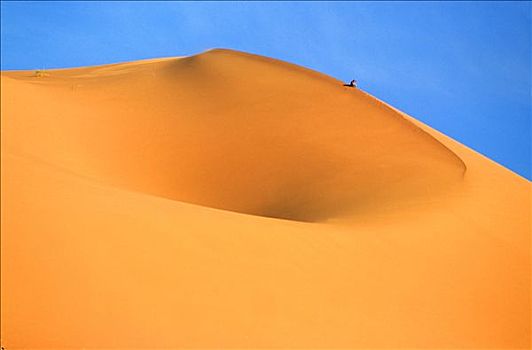 摩洛哥,塔菲拉勒特,区域,却比沙丘,沙漠