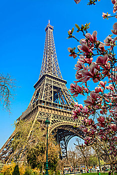 法国巴黎埃菲尔铁塔4