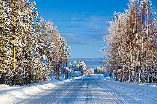 积雪,道路,靠近,北方,瑞典