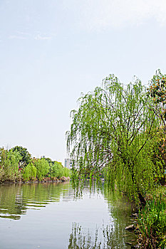 祥符桥,杭州,宦塘河,杨柳