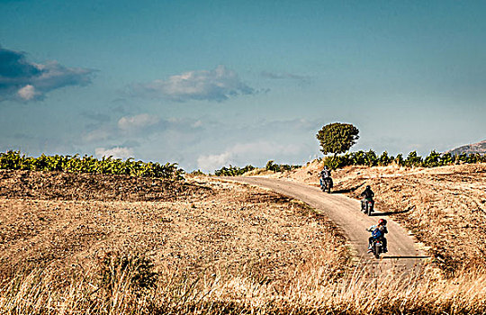 后视图,四个,朋友,骑,摩托车,乡村道路,萨丁尼亚,意大利