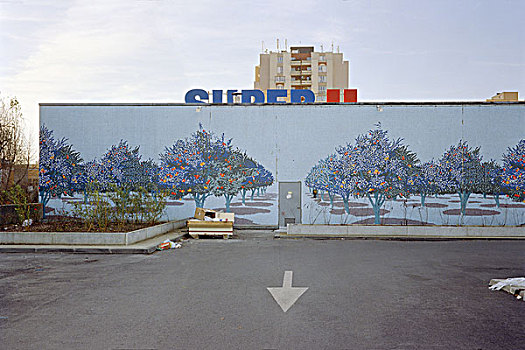 白色,箭头,道路,指向,墙壁,装饰,涂绘,树,巴黎,法国,序列,2006年