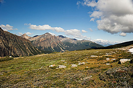 山麓,落基山脉,艾伯塔省,加拿大