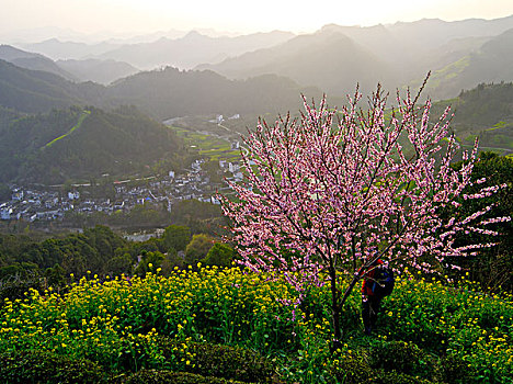 风景