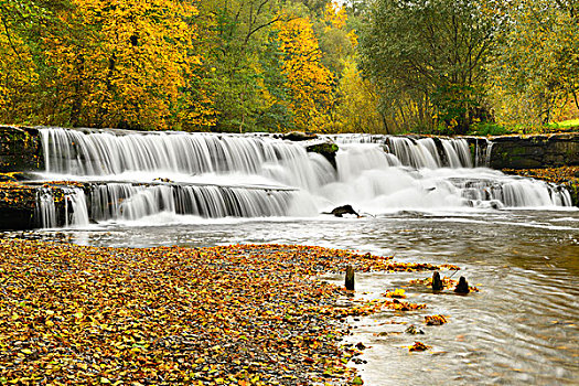 德国,图林根州,瀑布,河,坏,秋天