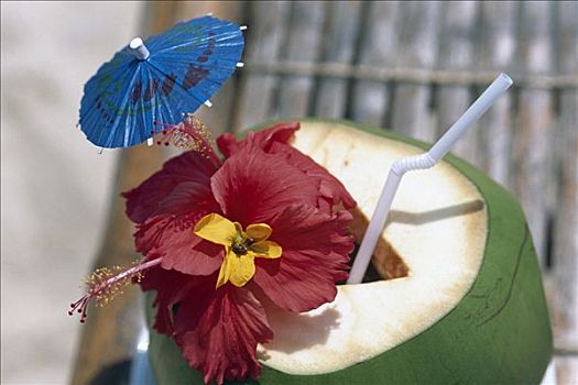 椰子,饮料,巴拉望岛,岛屿,菲律宾