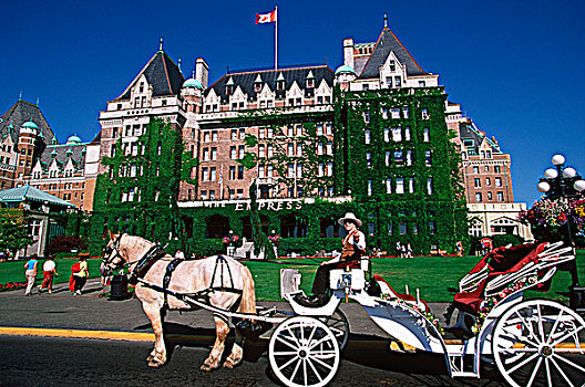 皇后酒店,马车,维多利亚,温哥华岛,不列颠哥伦比亚省,加拿大