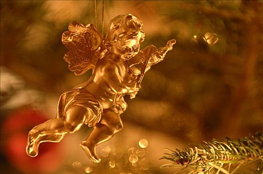 金色,天使,圣诞装饰,松树