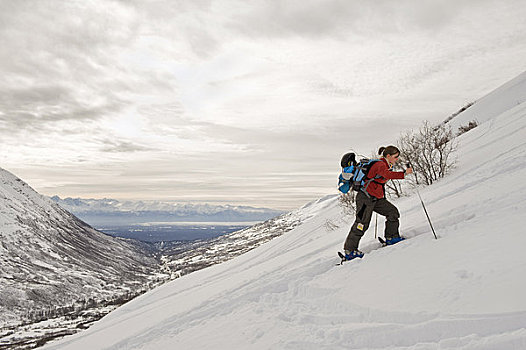 女人,边远地区,滑雪者,去皮,上坡,阿拉斯加,冬天