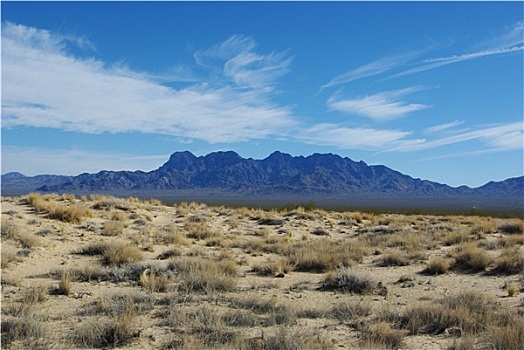 莫哈韦沙漠,沙丘,普罗维登斯,山,自然保护区,加利福尼亚