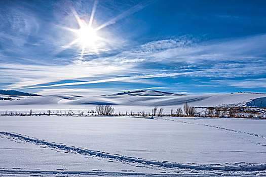 太阳,蓝天,上方,积雪,农田,莫斯科,爱达荷