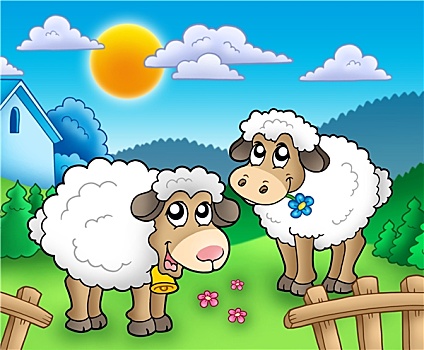 两个,可爱,绵羊,后面,栅栏