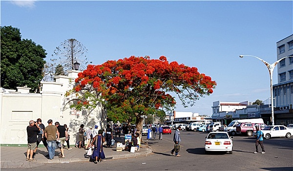 街道,津巴布韦