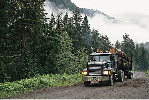 伐木,卡车,途中,哥伦比亚山脉,不列颠哥伦比亚省,加拿大