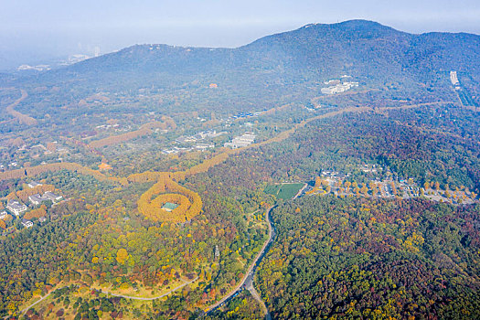 航拍南京钟山风景名胜区美龄宫法国梧桐树茂密