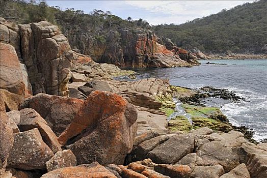 红色,花冈岩,石头,困,湾,遮盖,苔藓,塔斯马尼亚,澳大利亚