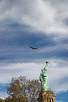 飞鸟,上方,自由女神像,纽约