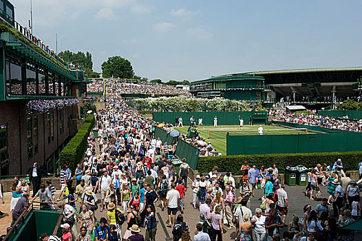 英格兰,伦敦,温布尔登,人群,走,球场,网球,冠军