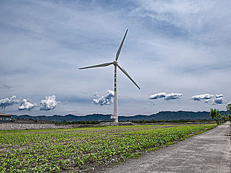 穿越草原的公路