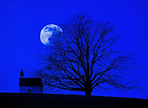 树,小教堂,月亮