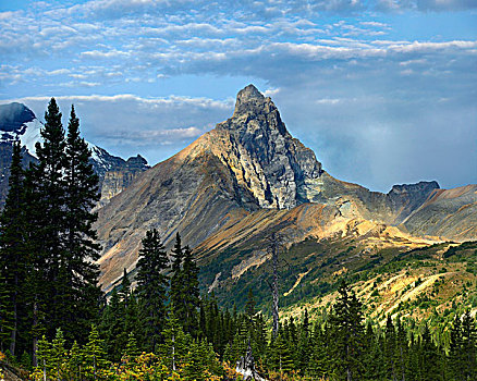 顶峰,冰原大道,班芙国家公园,艾伯塔省,加拿大