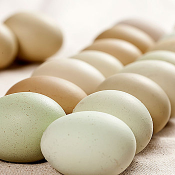 排列整齐的绿皮鸡蛋