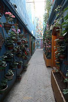 新疆喀什,古城彩色巷,一米爱情找初恋