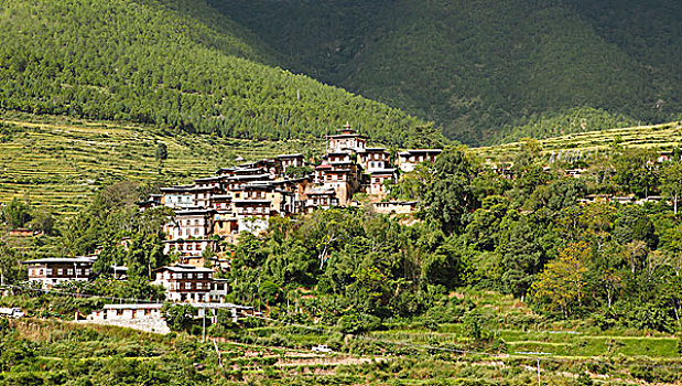 乡村,传统,房子,地区,不丹,亚洲