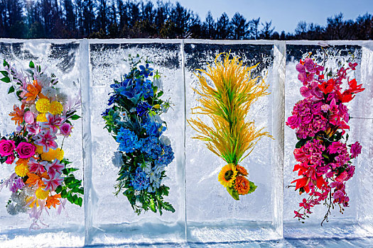 中国长春净月潭公园雪世界展出的冰花造型