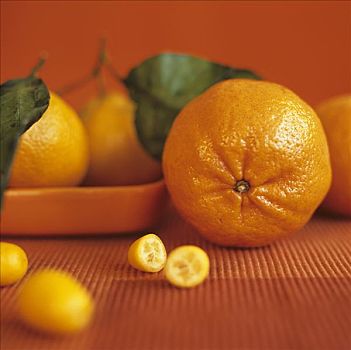 橘子,金橘