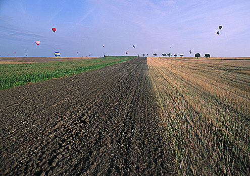 法国,洛林,耕地,热气球,远景