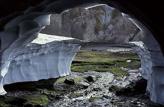 冰,洞穴,温泉,冰岛,欧洲