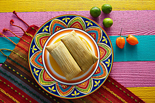 墨西哥,玉米面肉馅卷,玉米,叶子,辣椒,酱