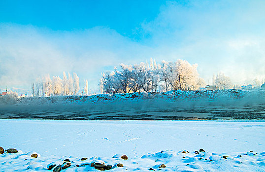 冬日,雪景,雪地,蓝天,雾松