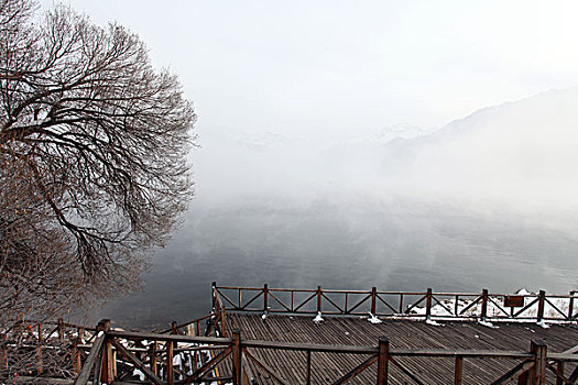 新疆,天池,雪景,松树,湖泊