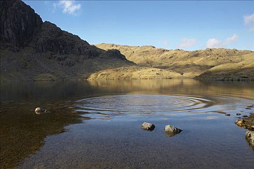 特写,山中小湖,湖区国家公园,英国