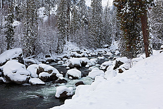 美国,华盛顿,国家森林,瀑布山,冰柱,溪流,毯子,初雪