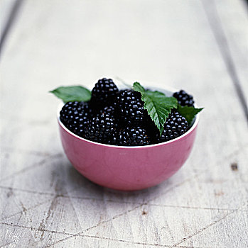 碗,黑莓