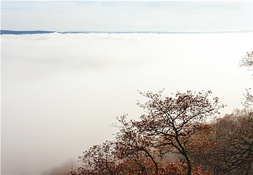秋天,雾状,风景,摩泽尔,山谷