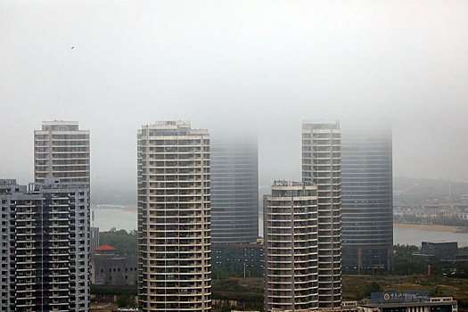 山东省日照市,一场大雨过后,城市建筑被云雾环绕