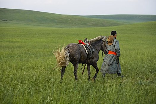 骑手,走,马,蒙古,中国