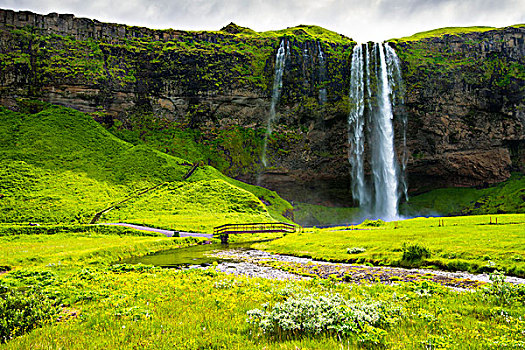 瀑布,绿色,草地,冰岛,欧洲