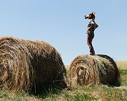 一个,男人,戴着,马,面具,站立,干草包,向外看,上方,农田