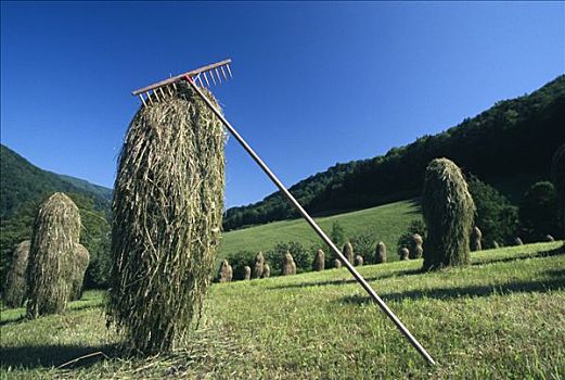 传统,干草收割,奥地利