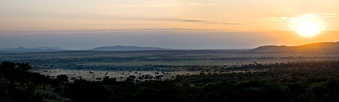 日出,塞伦盖蒂国家公园,坦桑尼亚