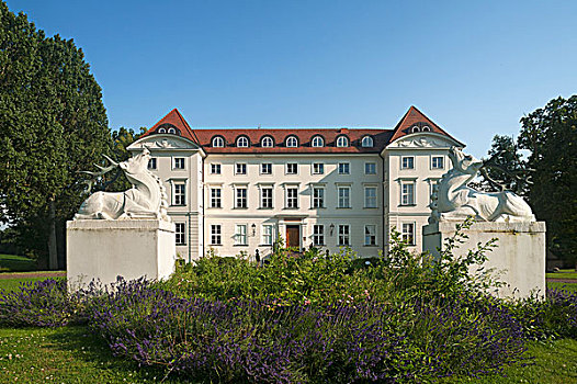 建筑,地面,城堡,建造,新古典主义,风格,酒店,两个,鹿,雕塑,正面,梅克伦堡前波莫瑞州,德国,欧洲
