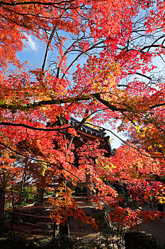 日本京都岚山常寂光寺