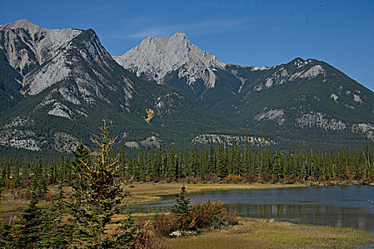 森林风景